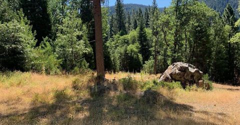 103 Lewis Ln., Sierra City, CA 96125 Photo