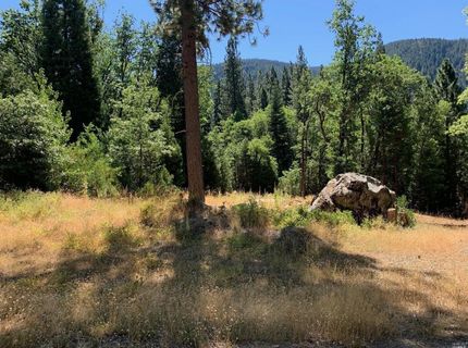 103 Lewis Ln., Sierra City, CA 96125 Photo