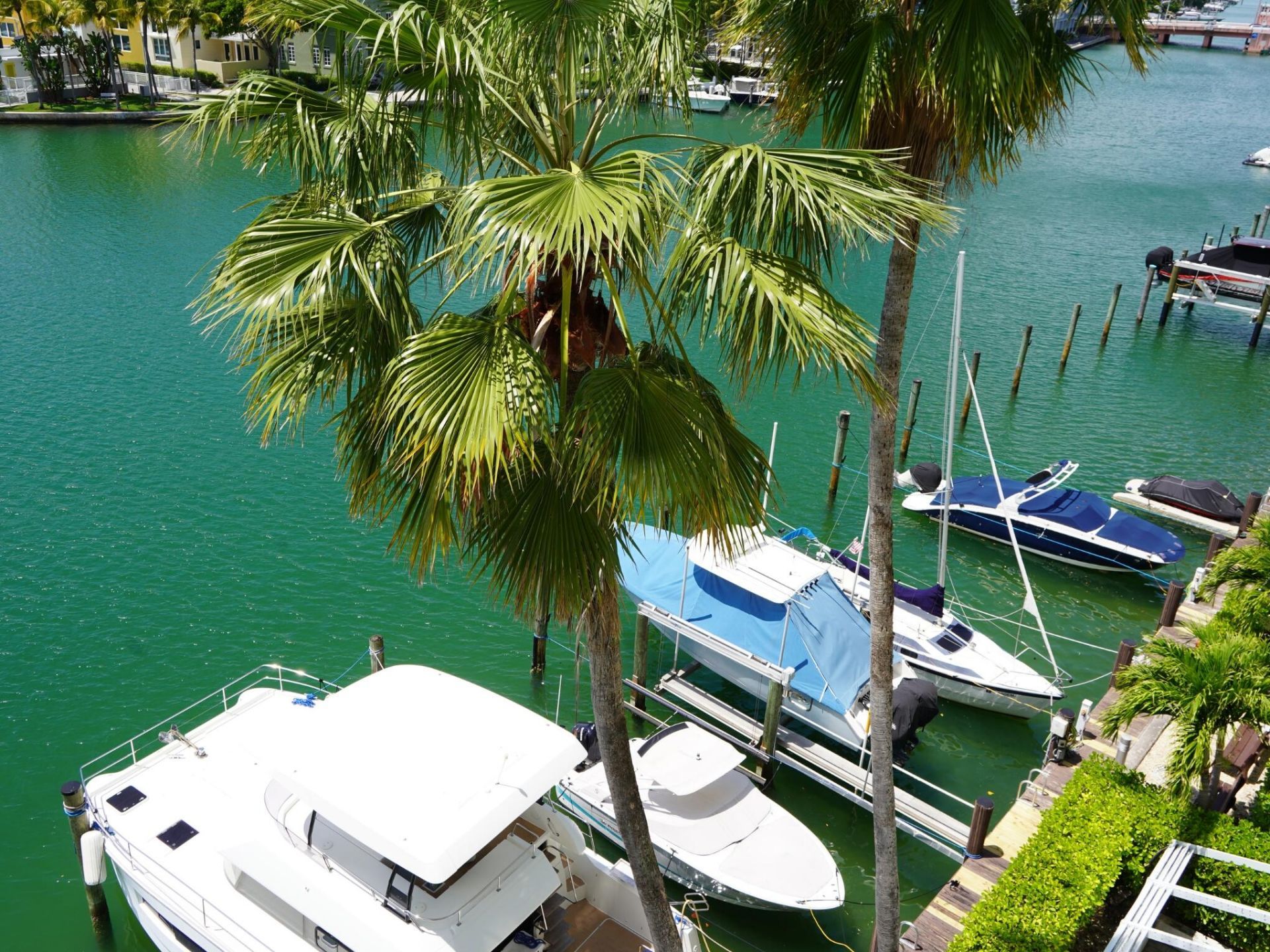 5900 Collins Avenue, Unit 601, Miami Beach, FL 33140 Photo