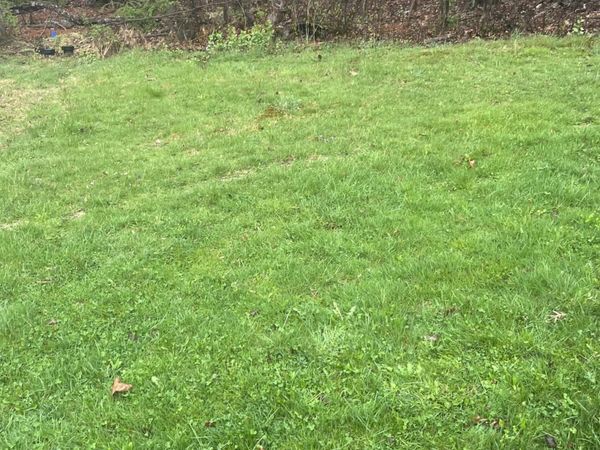 Ash Lane , Lake Winola, PA 18625