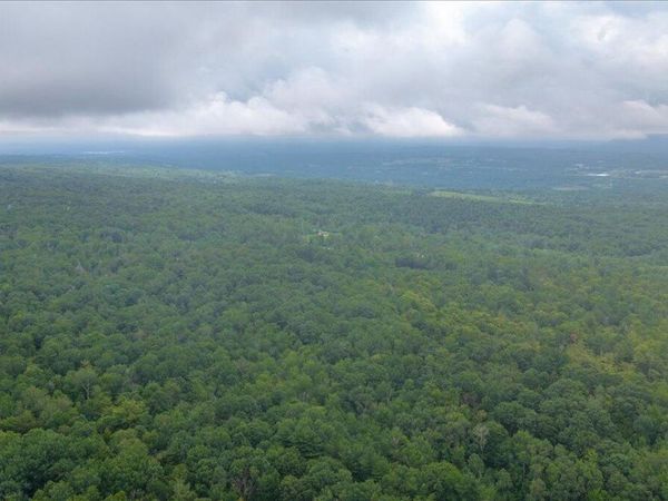 181 Liddle Road, Unit Lot 2, Duanesburg, NY 12056