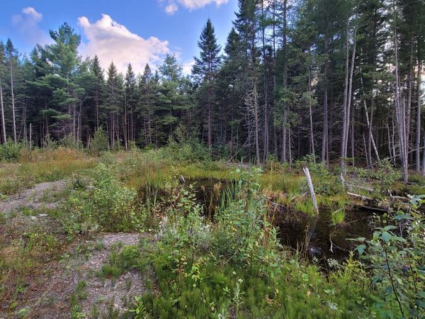 M15L10A Thomas Road , Woodland, ME 04736