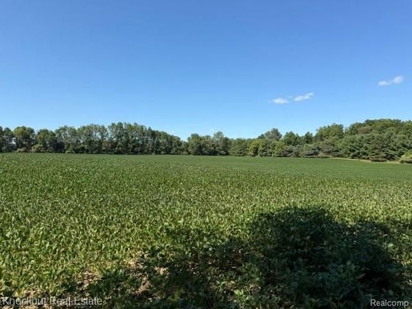 Parcel C Murphy Lake Road, Watertown Township, Mi 48744