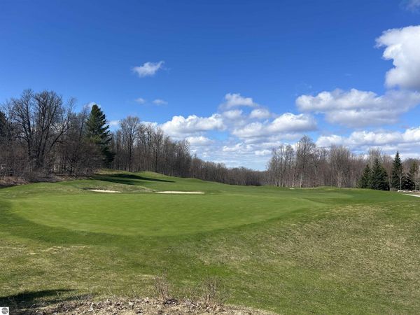 2 Fox Trail, Bellaire, MI 49615