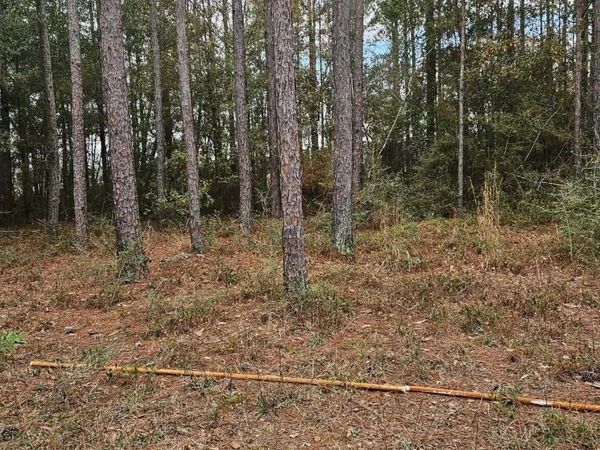 0 GARDNER Road, Elberta, AL 36530