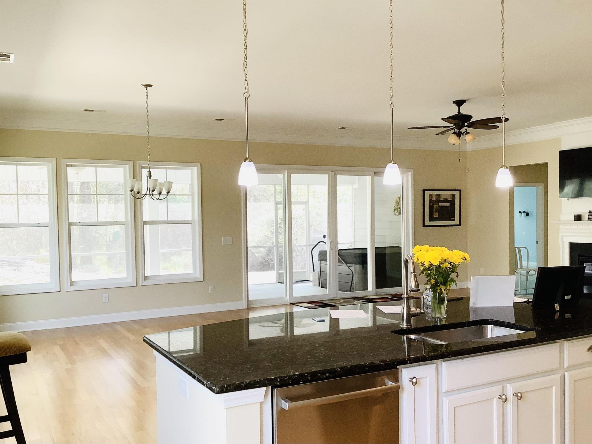 242 Hyacinth Loop  Photo 11