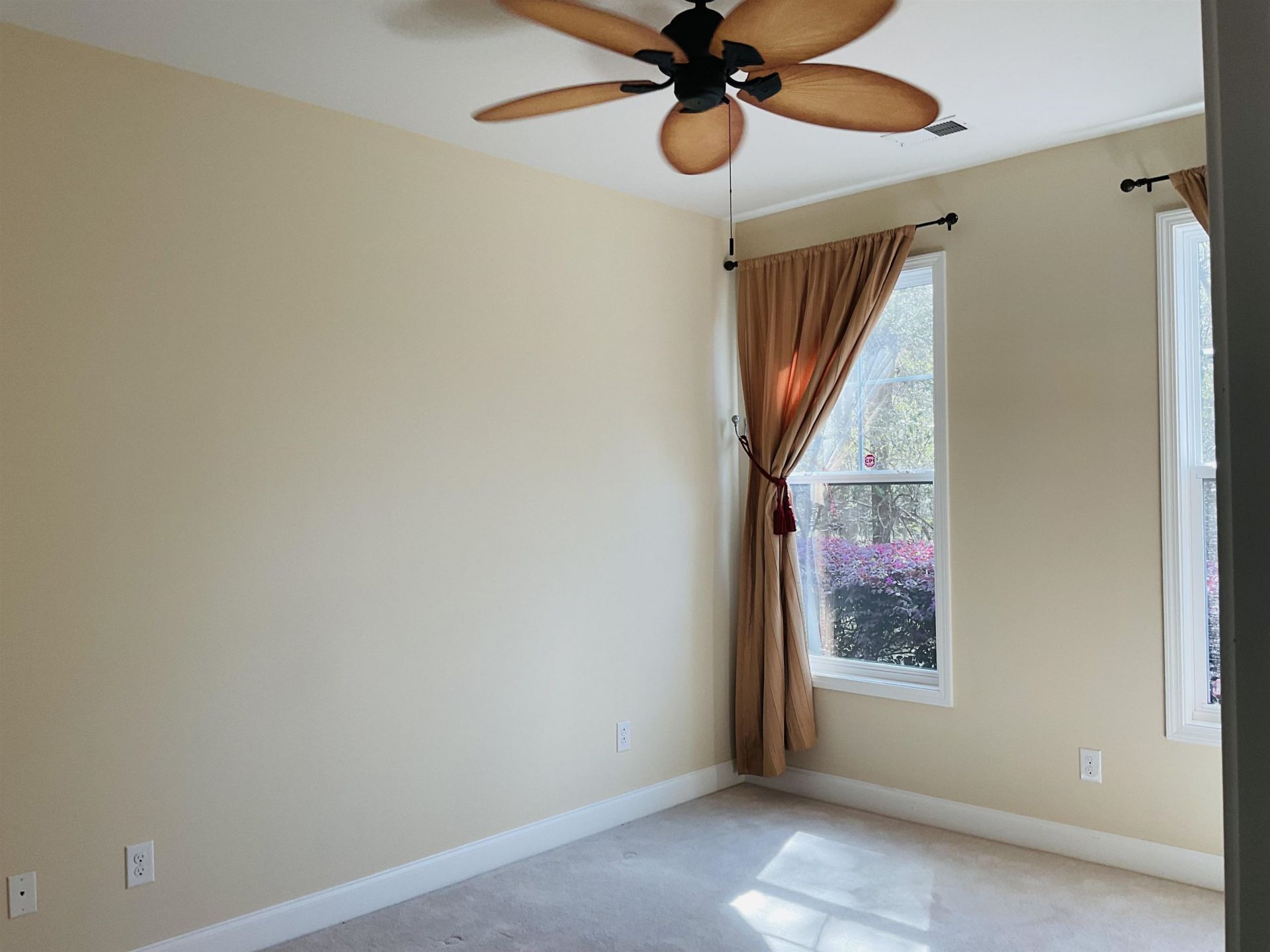 242 Hyacinth Loop  Photo 25