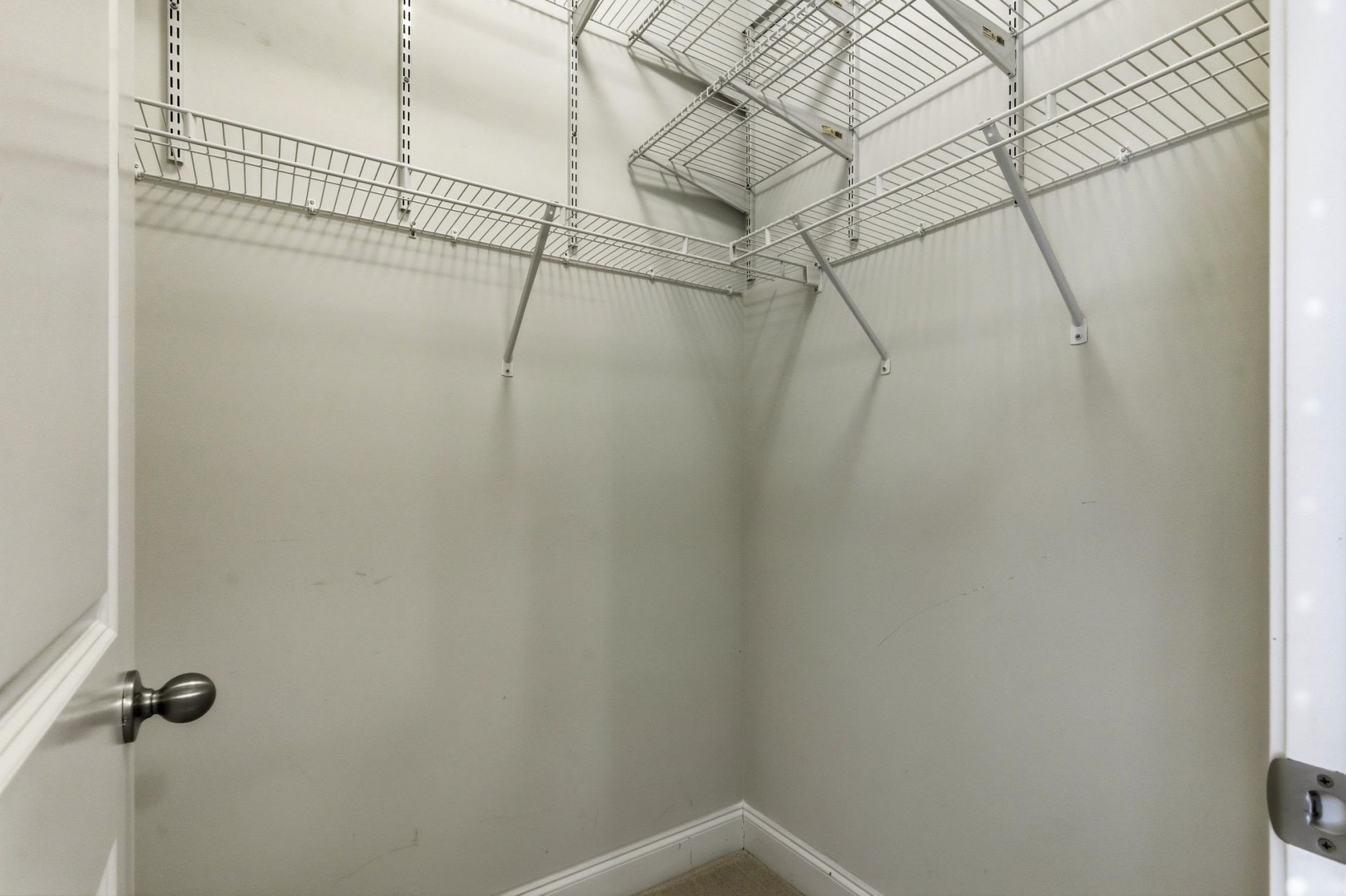 242 Hyacinth Loop  Photo 28