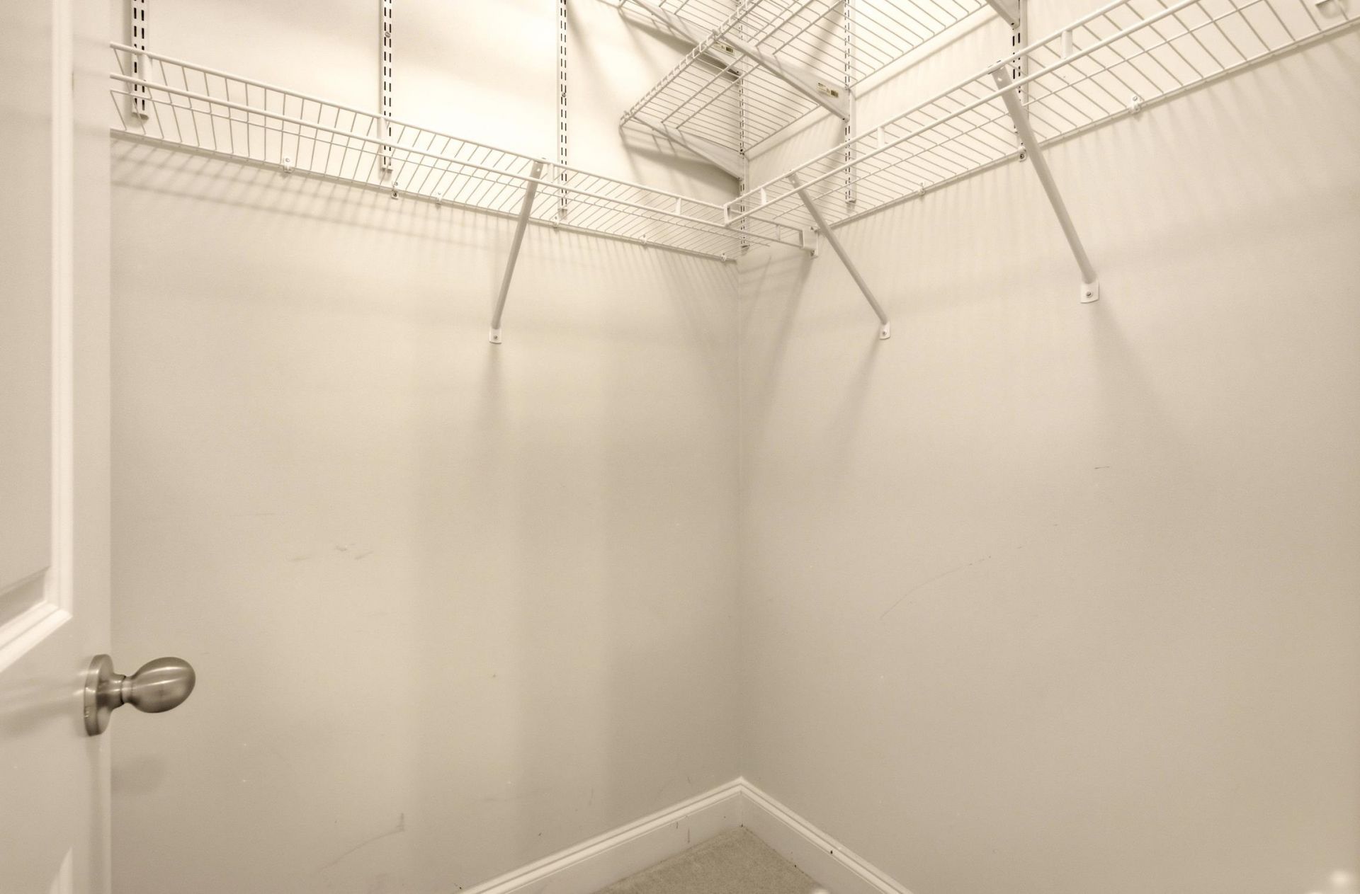 242 Hyacinth Loop Photo 32