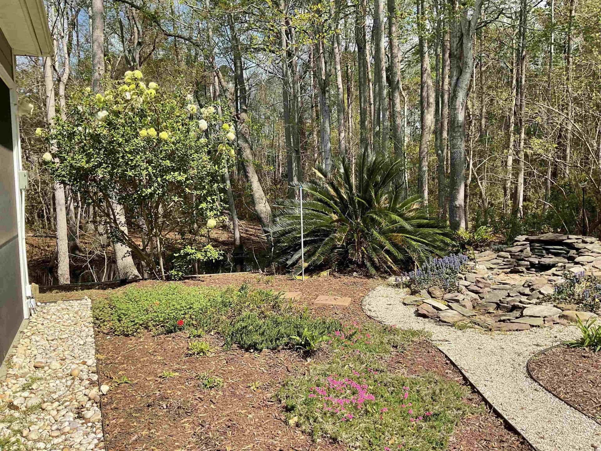 242 Hyacinth Loop  Photo 35