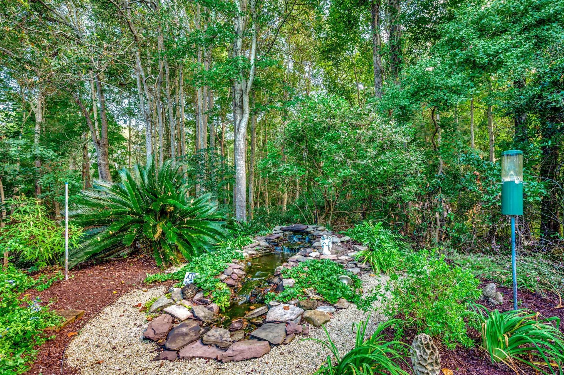 242 Hyacinth Loop  Photo 40