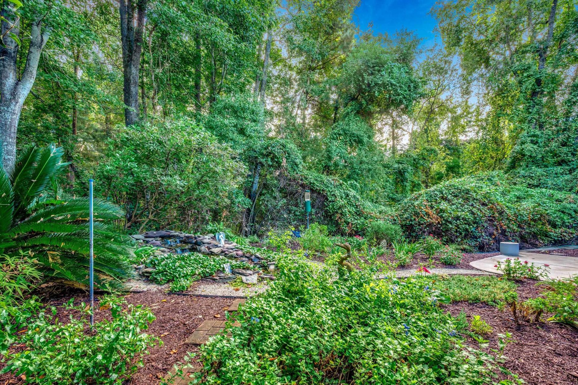 242 Hyacinth Loop Photo 48