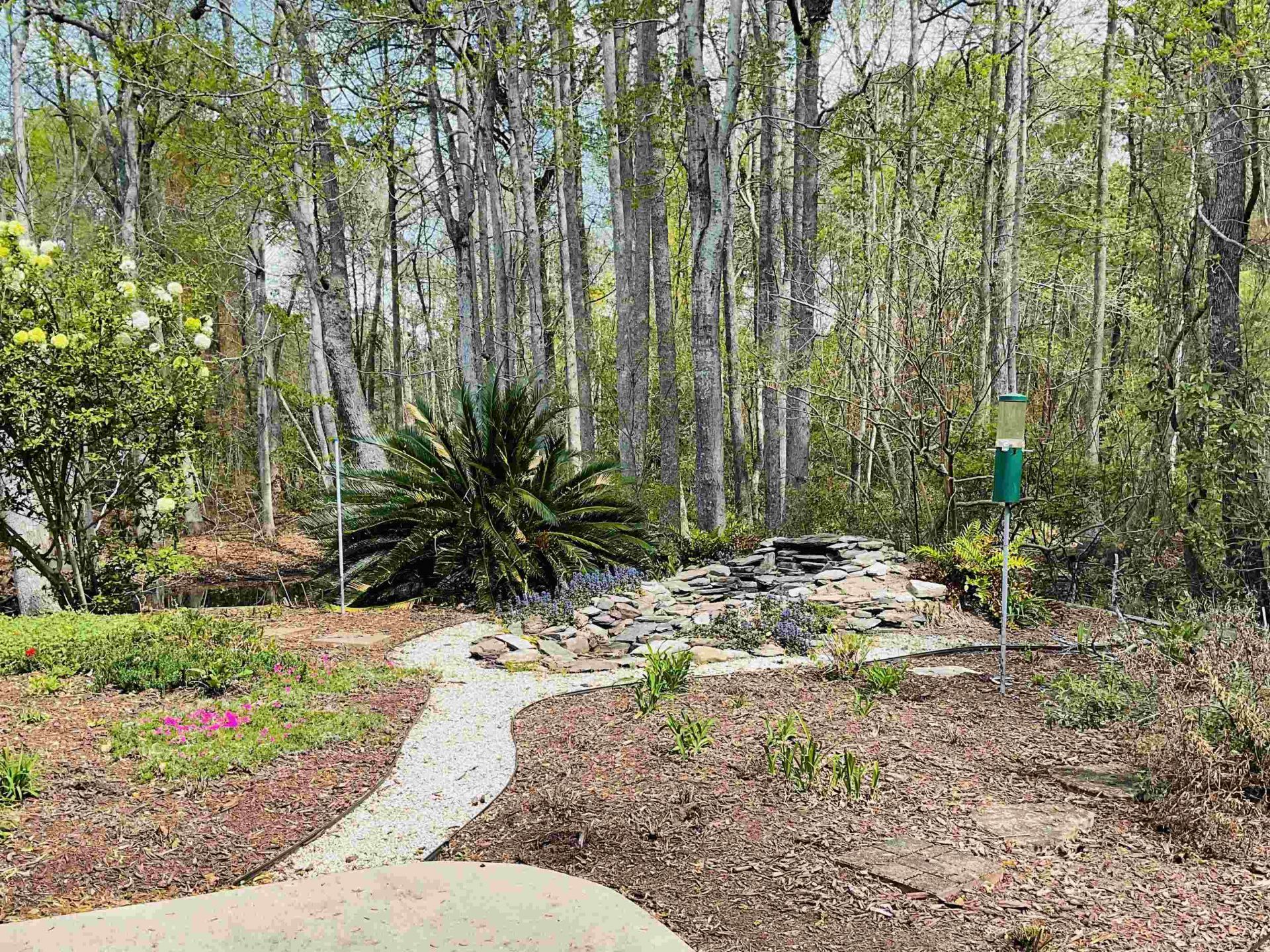 242 Hyacinth Loop Photo 49