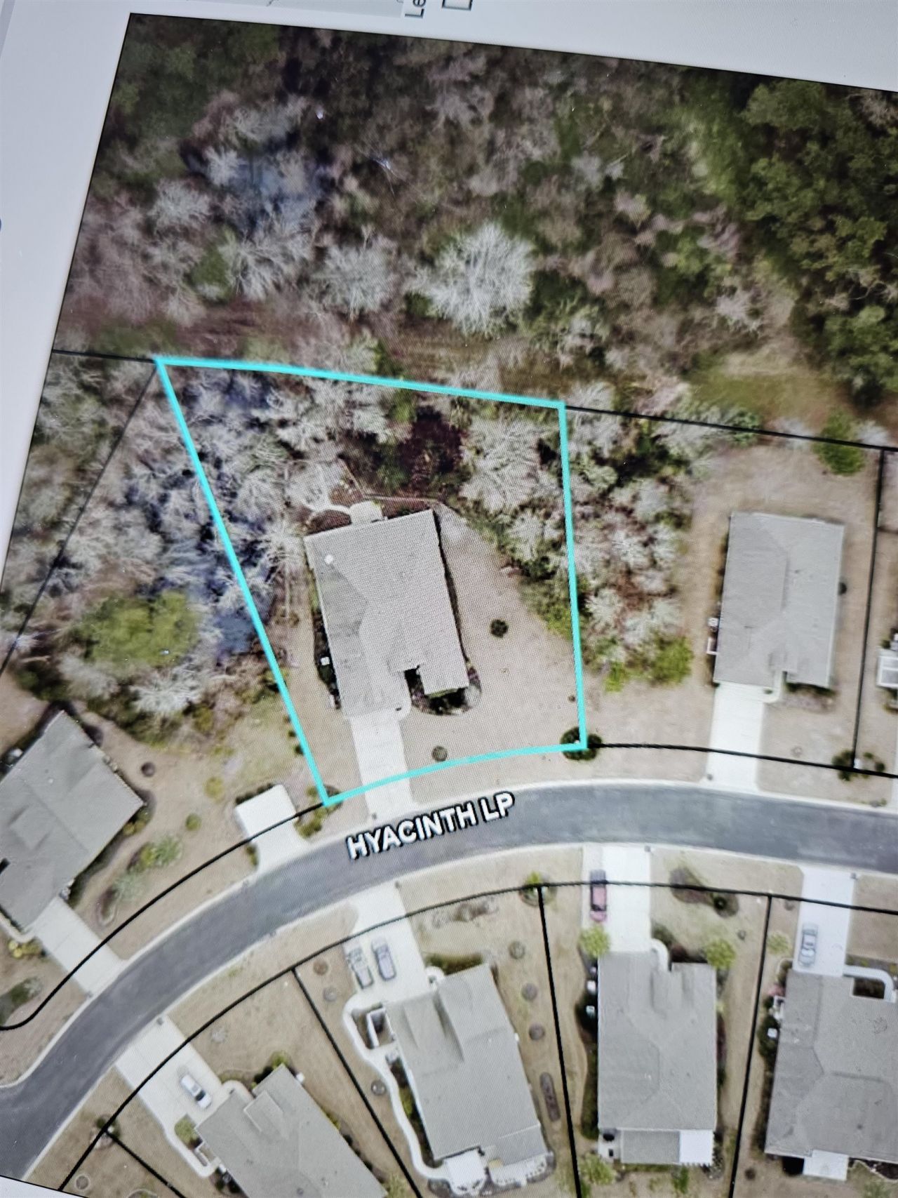 242 Hyacinth Loop Photo 59