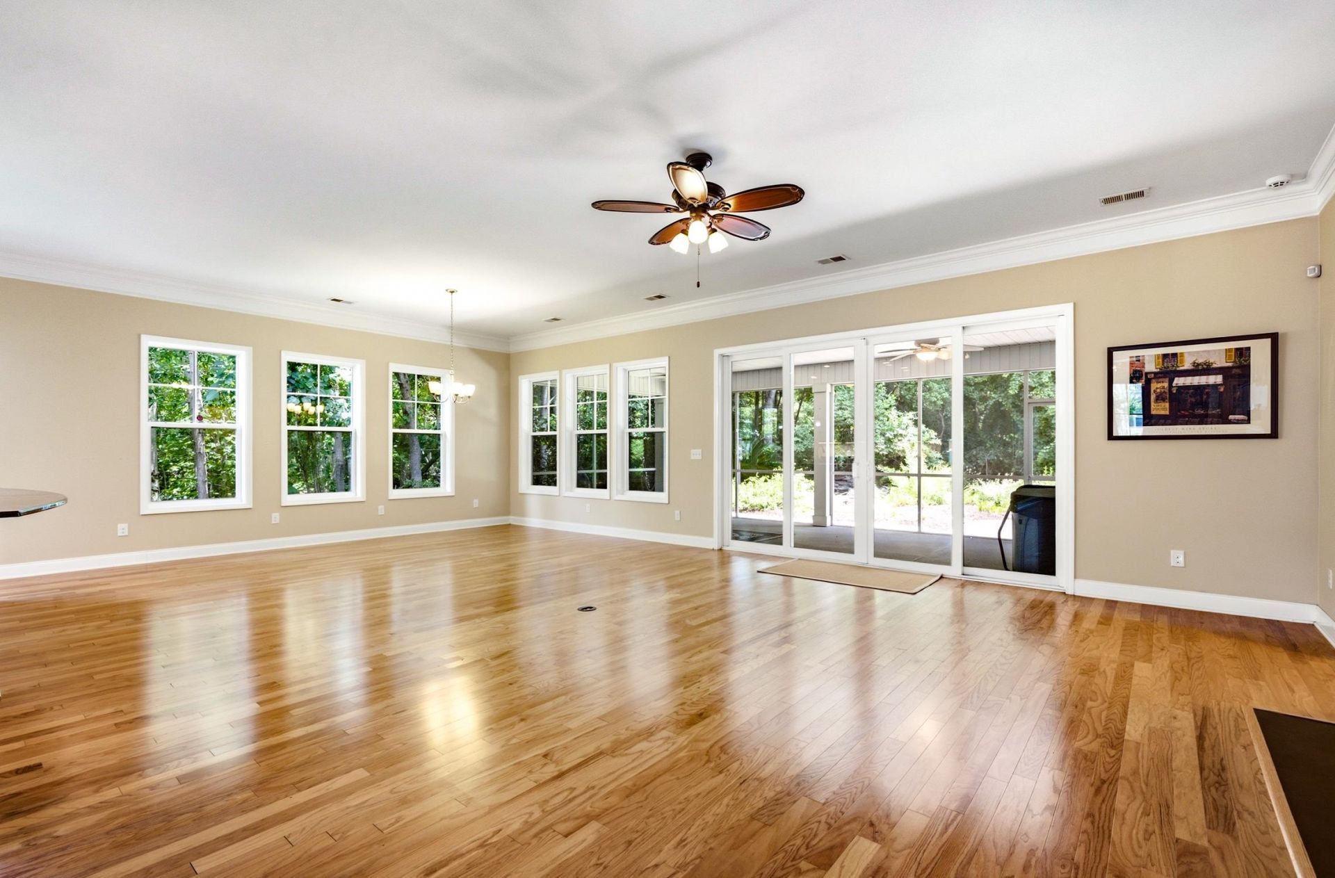 242 Hyacinth Loop Photo 6