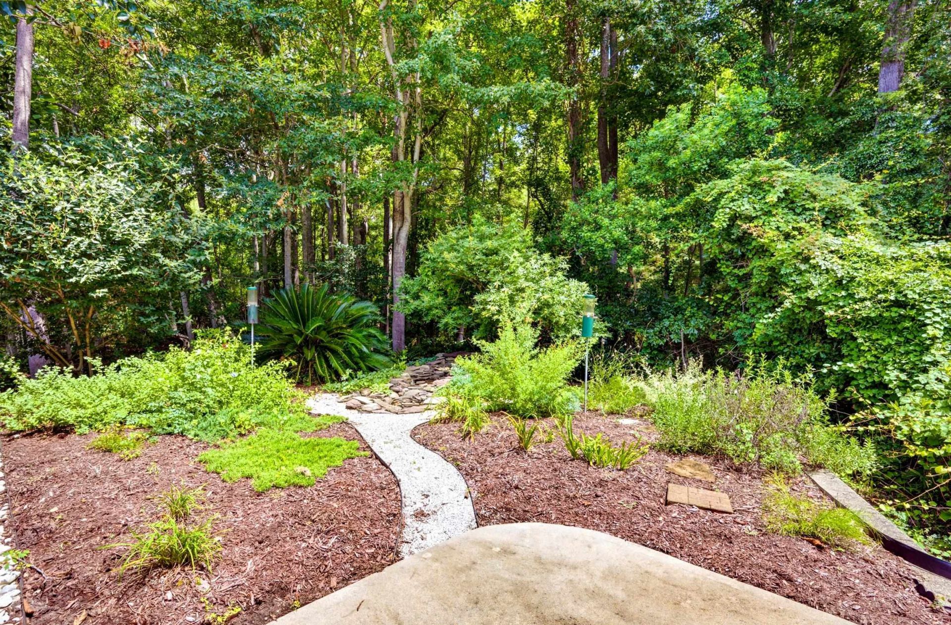 242 Hyacinth Loop Photo 60
