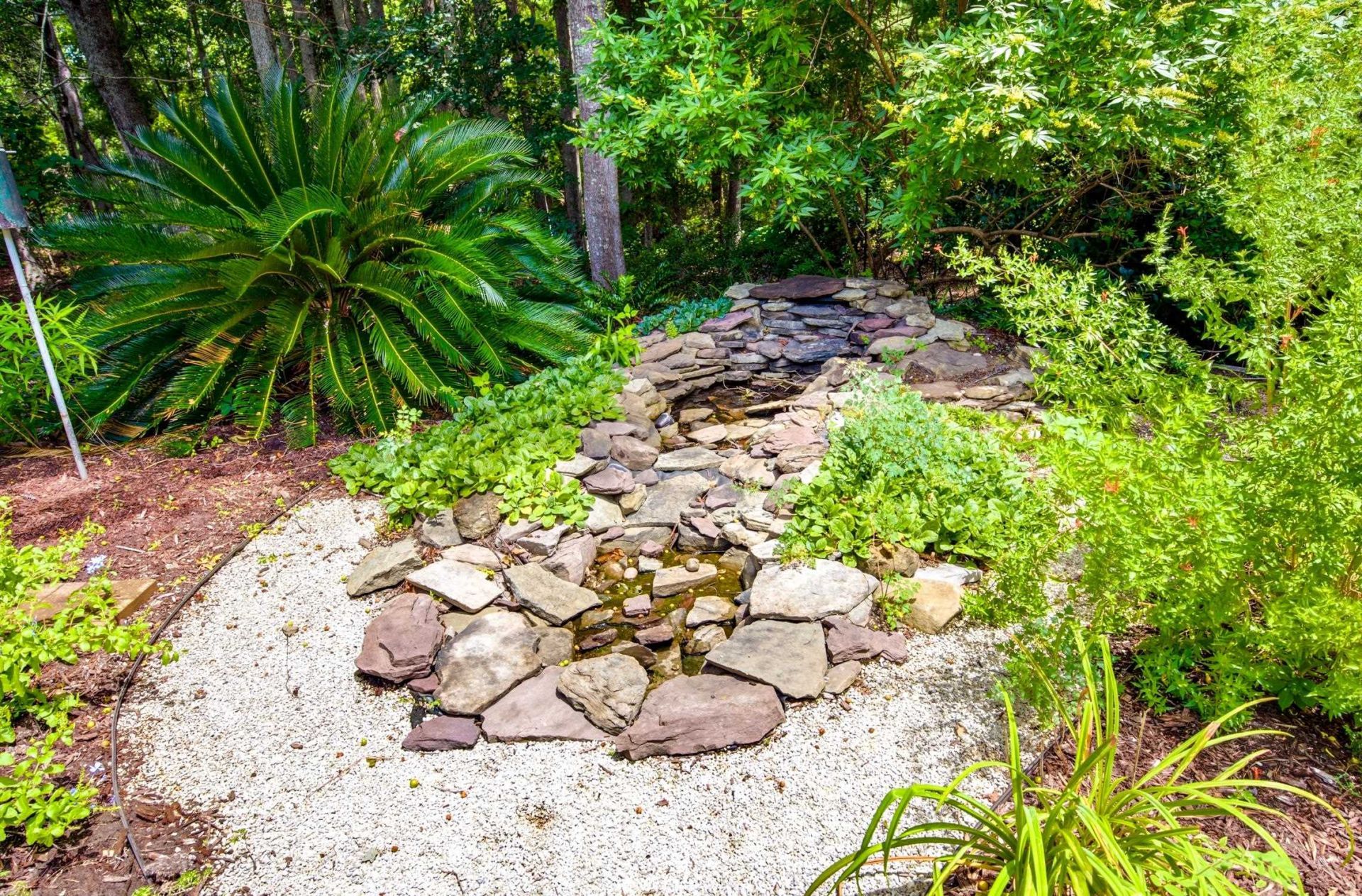242 Hyacinth Loop Photo 62
