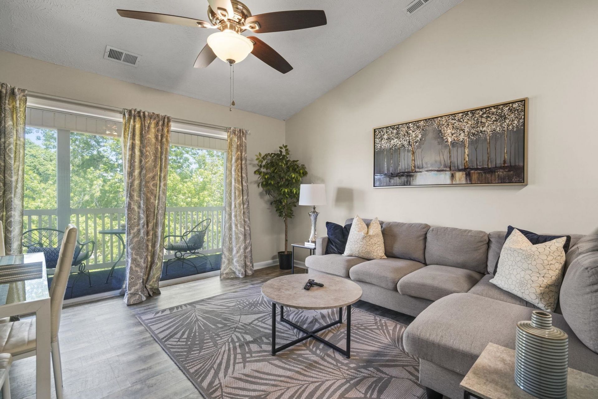 533 White River Dr. Photo 19