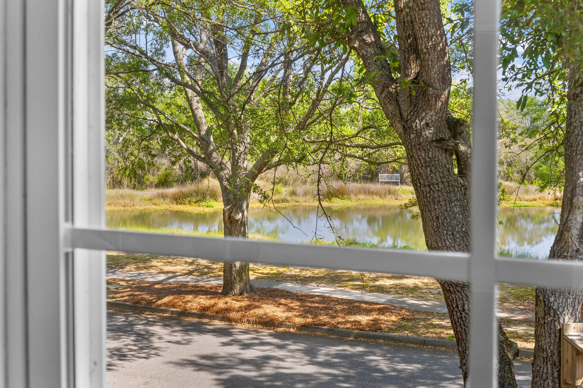 408 Milner Court Photo 15