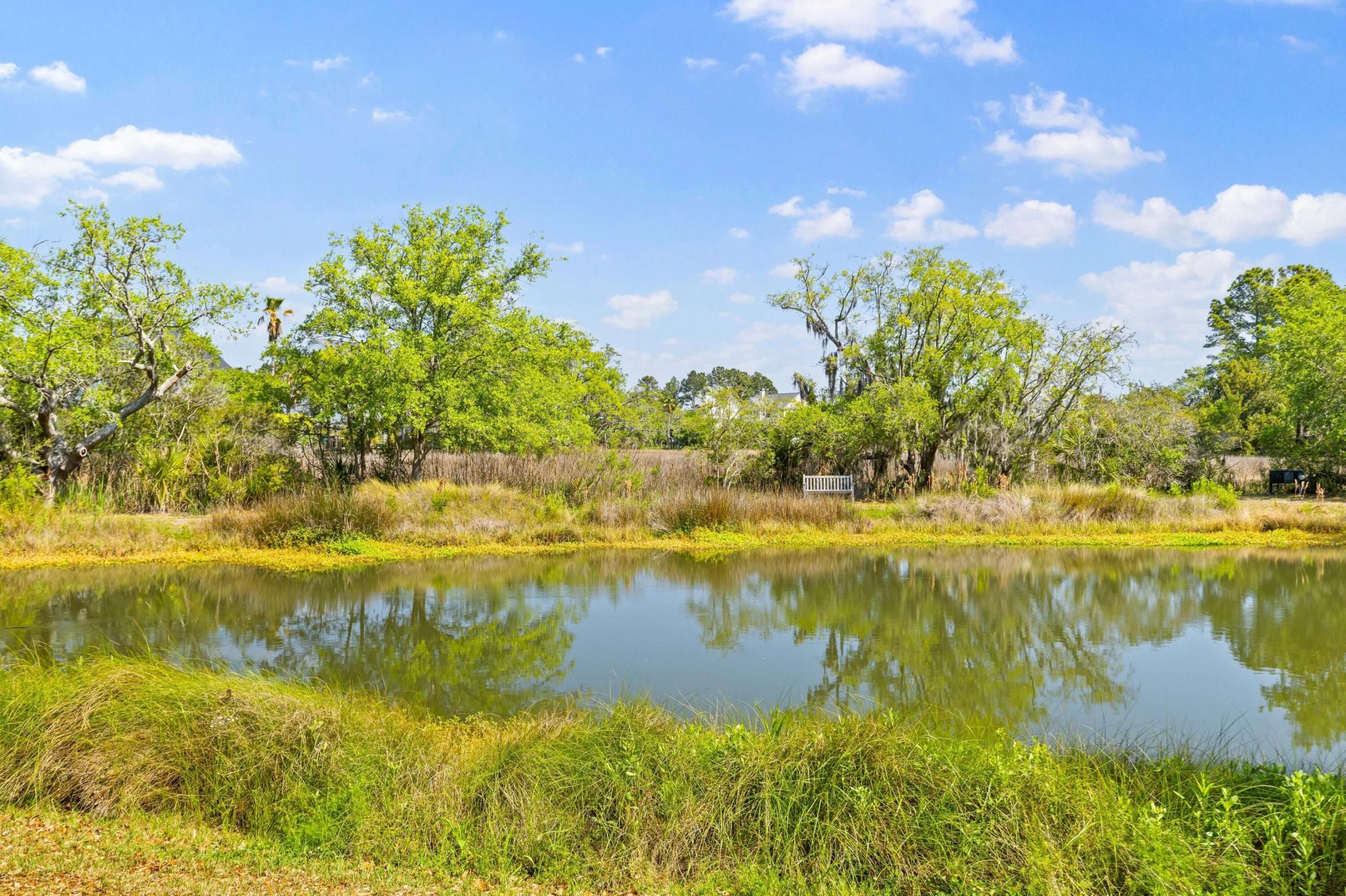 408 Milner Court Photo 4