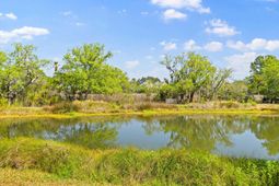 408 Milner Court photo 4