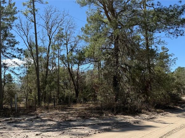 10650 NE 210TH STREET , FORT MC COY, FL 32134