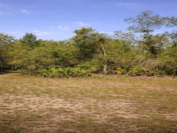 SHETLAND DRIVE , LAKE WALES, FL 33898