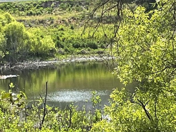 REDBUD ROAD , LADY LAKE, FL 32159