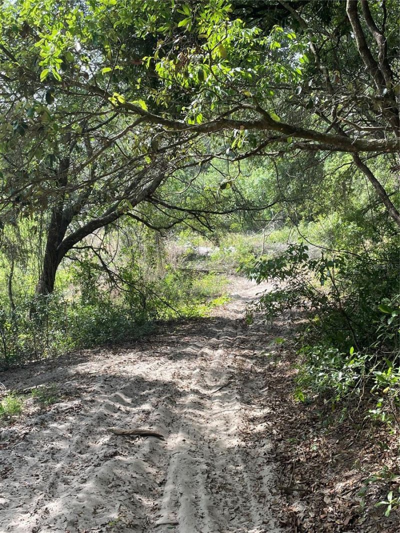 Redbud Road , Lady Lake, FL 32159 Photo