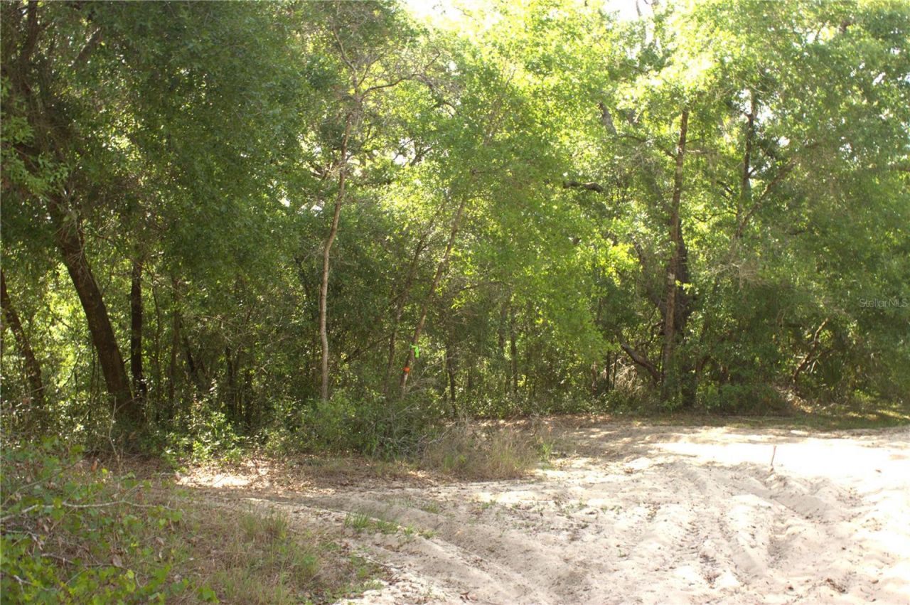 Redbud Road , Lady Lake, FL 32159 Photo
