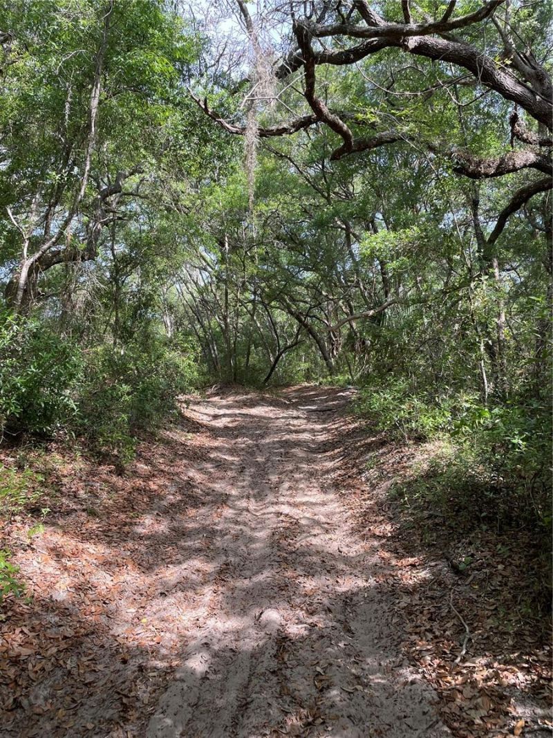 Redbud Road , Lady Lake, FL 32159 Photo