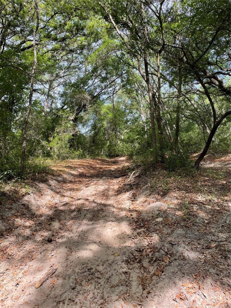 Redbud Road , Lady Lake, FL 32159 Photo