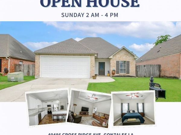 40486 Cross Ridge Ave, Gonzales, LA 70737
