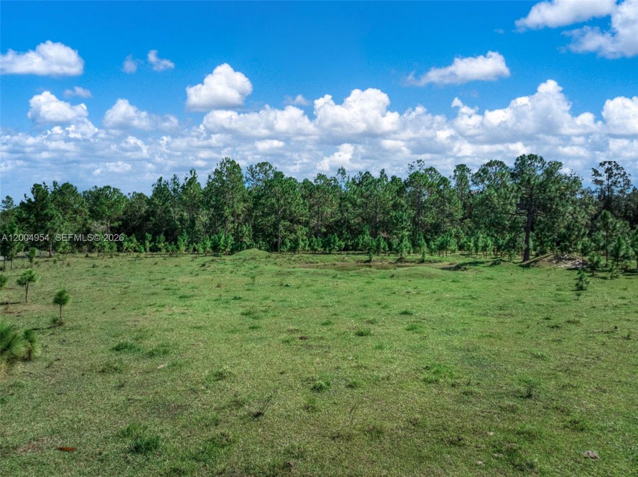 2316 Gem Stone , Sebring, FL 33857 Photo