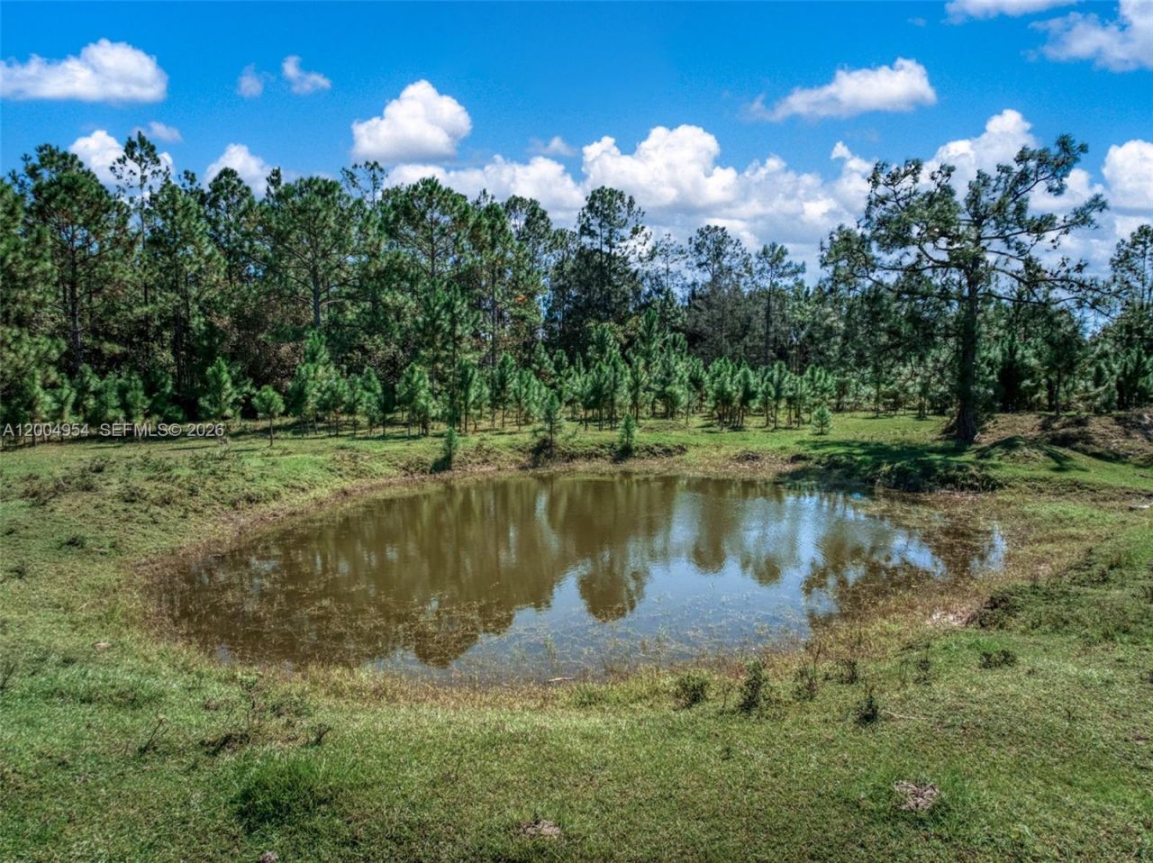 2316 Gem Stone , Sebring, FL 33857 Photo