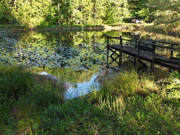 805 Pate Rd , Huntingdon, TN 38344