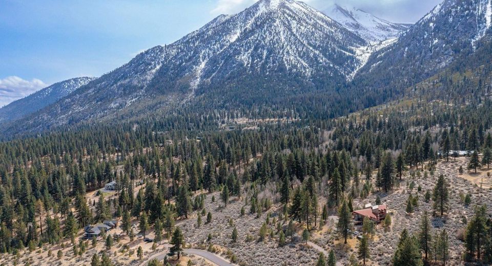 297 Five Creek Road, Gardnerville, NV 89460 Photo