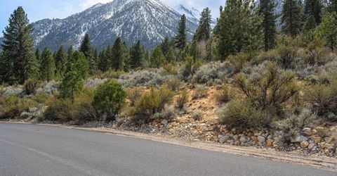 297 Five Creek Road, Gardnerville, NV 89460 Photo
