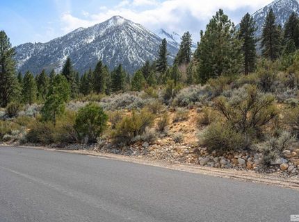 297 Five Creek Road, Gardnerville, NV 89460 Photo