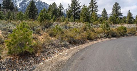 297 Five Creek Road, Gardnerville, NV 89460 Photo
