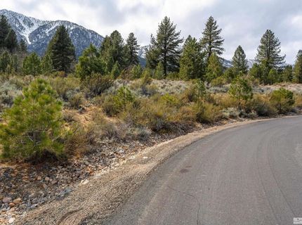 297 Five Creek Road, Gardnerville, NV 89460 Photo