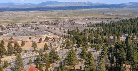 297 Five Creek Road, Gardnerville, NV 89460 Photo