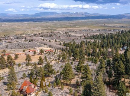 297 Five Creek Road, Gardnerville, NV 89460 Photo