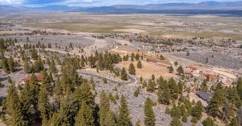 297 Five Creek Road, Gardnerville, NV 89460 Photo
