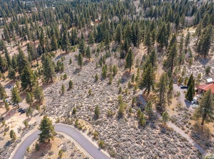297 Five Creek Road, Gardnerville, NV 89460 Photo