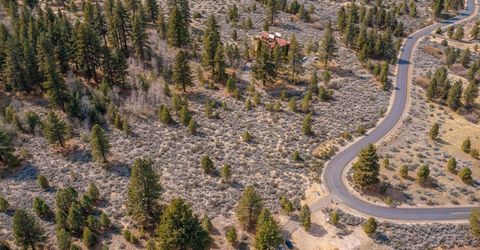 297 Five Creek Road, Gardnerville, NV 89460 Photo