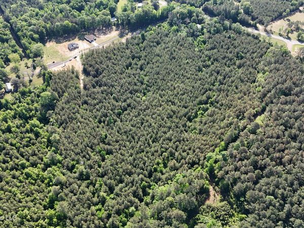 024 Mississippi 43 , Camden, MS 39045