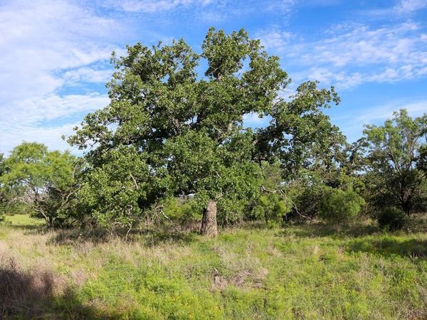 TBD Oak Ridge Tr , Kingsland, TX 78639