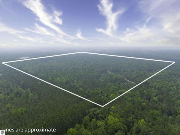 Shady Lane, Kalkaska, MI 49646