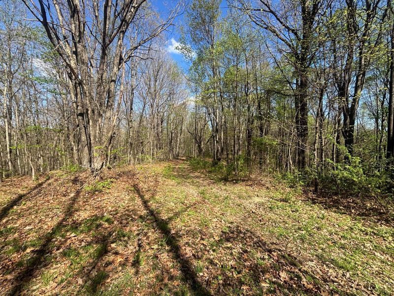 24121 Sheets Mccoy Road , New Plymouth, OH 45654 Photo 10